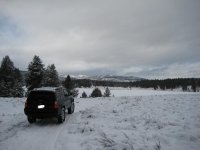 4runner 015-small.jpg