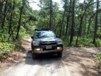 IMG_20120823_105107a.jpeg