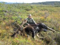 moose1.jpg