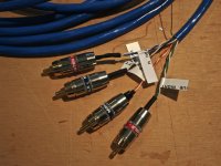 Cat 6.jpg Cat 6.jpg