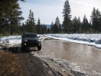 4runner 033-small.jpg