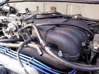 IMG_20120924_173819.jpg
