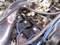IMG_20120924_173842.jpg