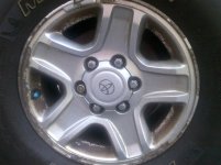 Westwood-20120717-00082.jpg