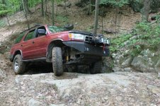 IMG_1126.jpg