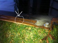 IMG_1595.jpg IMG_1595.jpg
