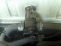 IMG_20120912_145939.jpg