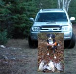 4runner hunting.jpg