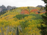 IMG_2858v2.jpg