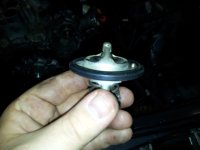 20121103_085116.jpg 20121103_085116.jpg