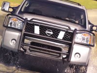 PGrille and Brush Guard.jpg PGrille and Brush Guard.jpg
