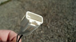 Plug.jpg