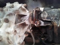 Oil Leak.jpg