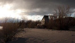 IMG_4201.jpg