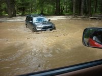 in the mud 2.jpg