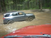In the mud.jpg