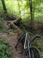 Illinois Bike pic.jpg