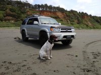 IMG_0118[1].jpg