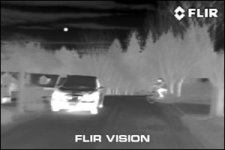 flirvision2.jpg