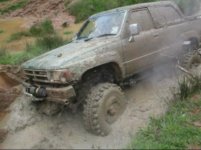 NVE00010.jpg