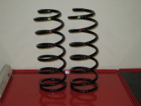 99coil_4runner_20090216_0011.jpg