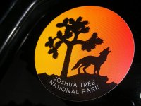 joshua tree.jpg