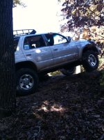 Flexing 3.jpg