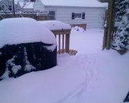 snowbackyard.jpg