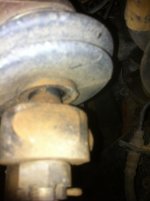 IMG_1131.jpg IMG_1131.jpg