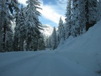 IMG_9357 (Large).jpg