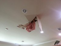 20130422_142647.jpg