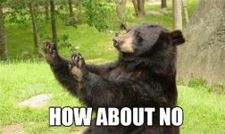 I+m+a+bear+and+I+do+not+approve+of+this+_34577993c11143f0e4f3c231b1a43303.jpg I+m+a+bear+and+I+do+not+approve+of+this+_34577993c11143f0e4f3c231b1a43303.jpg