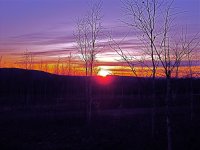 IMG_0410.jpg