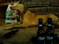beerbear.jpg
