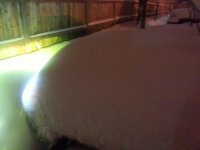 snow lights.jpg