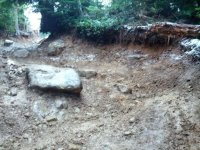Rock_Damage.jpg