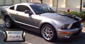 2008ShelbyGT500.2.jpg