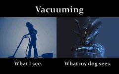 Alien.jpg