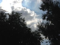 IMG_0885.jpg