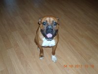 DSCN0633.jpg