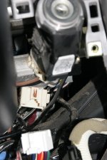 IMG_2673bb.jpg
