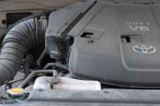 DSC_2432.JPG
