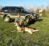 deer_number_2 (Medium).jpg