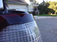 IMG_6088[1].jpg
