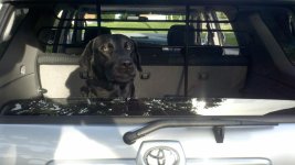 2012-04-29_18-40-28_897.jpg