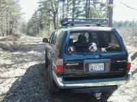 phone pics 033.jpg