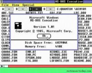 Microsoft 1.1.jpg
