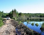 IMG_6177.jpg