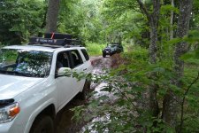 DSC_0799.jpg DSC_0799.jpg