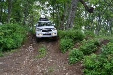 DSC_0802.jpg DSC_0802.jpg